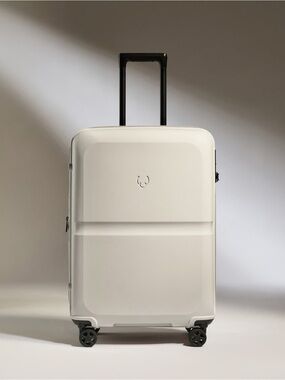 Antler Carry-On Luggage Warm Taupe Stripe Hardshell Spinner Suitcase Travel✈️